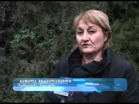 ვერშემდგარი ექსპორტიორი