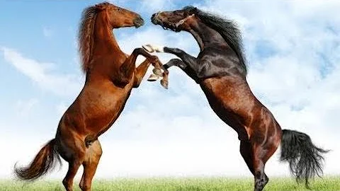 The Lost Treasures Of the Deep || Full Documentary with subtitles