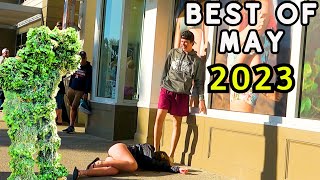 Ultimate Best of Bushman Compilation for May 2023!