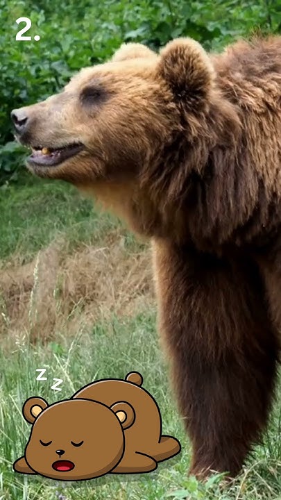 3 Silly Laws In Alaska YouTube 13-weird-laws-attorney-s-favorite-dumb-laws-youtube