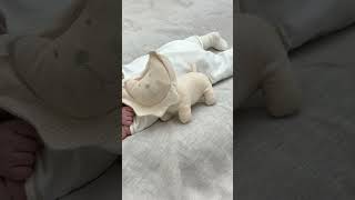 The Perfect Gift for Babies: Organic Cotton Stuffed Toys
