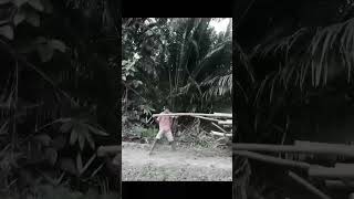 Download Lagu Perang meriam kota Serui🔥😎 MP3 Download Lagu Perang meriam kota Serui🔥😎 MP3
