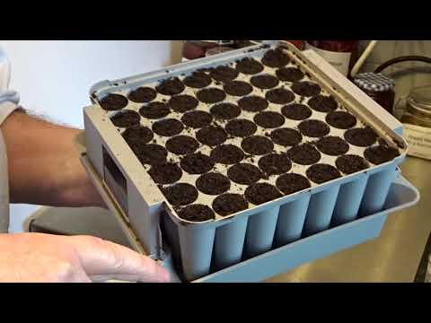 Agralan HA100 Compact Plug Plant Trainer + Sowing A Few Brassicas