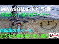 【2021年】ぶどう棚防風ネット張りワイヤー作業