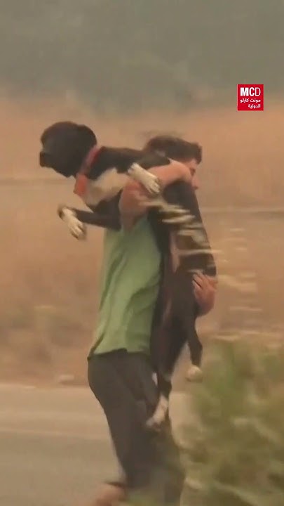     
 - نشر قبل 22 دقيقة