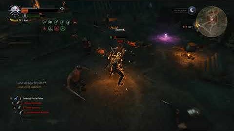 Witcher 3 - Ghost Mode - Crit Explosions