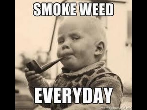 Smoke Weed EverDay |Remix | 110 - YouTube