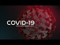 Coronavirus. La Ciencia | Carlos Madrid,  Joaquín Robles, Emmanuel Martínez | TC 004