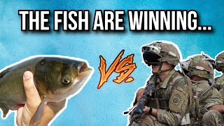 Why the U.S. Army is at war with a fish