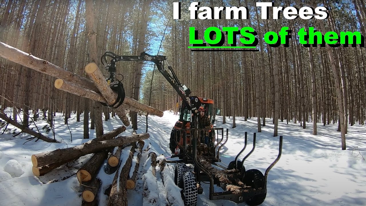 Moving Logs To The Sawmill Has Become A Giant Arcade Game YouTube moving-logs-to-the-sawmill-has-become-a-giant-arcade-game-youtube