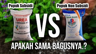 MENGUJI PUPUK SUBSIDI VS PUPUK NON SUBSIDI. APAKAH HASILNYA SAMA?