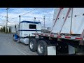 Вид с заднего окна, загрузка￼ трала flatbed Peterbilt 389