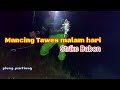 Mancing ikan Bader/Tawes malam hari || dapat jackpot lele dumbo.