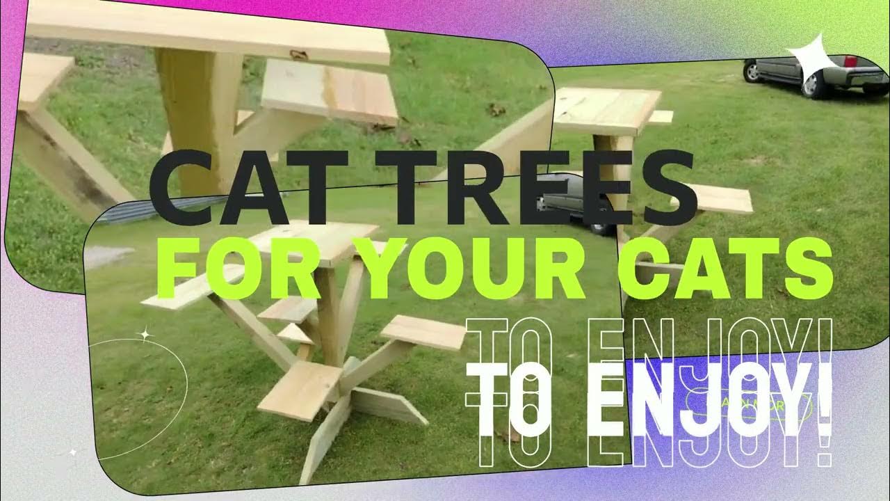 Cat Tree YouTube