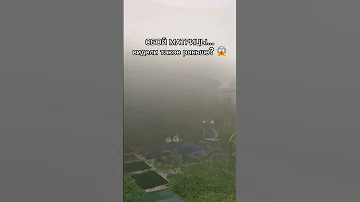 Сбой Матрицы! Стало Не По Себе! #shorts