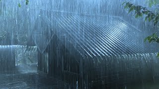 Great Relaxation to Deep Sleep with Drenching Rain & Fierce Thunder on Slender Tin Roof in Forest by Danny Louis 21,270 views 1 day ago 10 hours