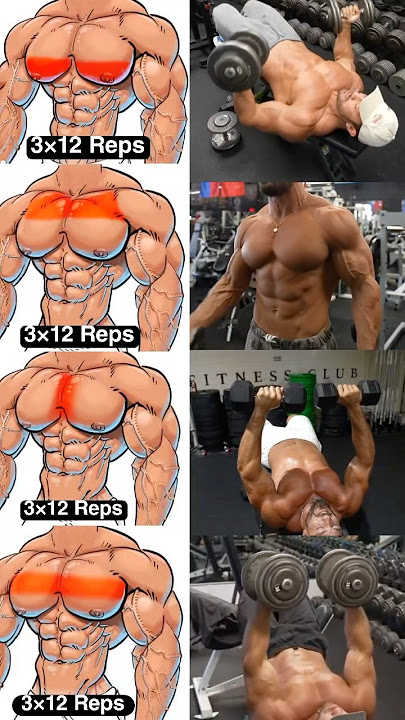 Dumbbell chest Workout !! Quick Home Chest Exercises #chestworkout #dumbbell