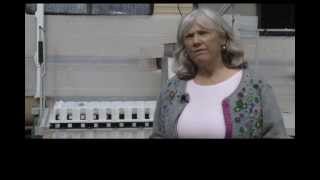 Poultry Abattoir