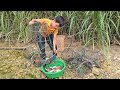 basket full of fish, Highland boy Stream fish trap skills using fish harvesting baskets for sale