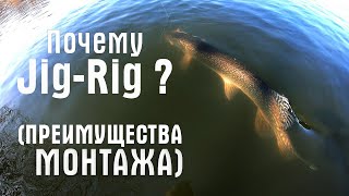 Почему ДЖИГ- РИГ? Преимущества монтажа. JIG-RIG, приманка, щука!