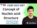 Concept of Nucleic acid Structure | Life Sciences | Unacademy Live - CSIR UGC NET | Virendra Singh
