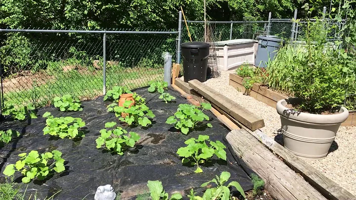 Garden Tour June 16, 2020