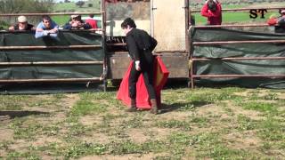 I Fim-de-semana Taurino de Beringel