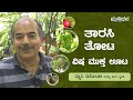 ತಾರಸಿ ತೋಟ - ವಿಷಮುಕ್ತ ಊಟ | ಬ್ಲ್ಯಾನಿ ಡಿಸೋಜಾ | Terrace Garden | Blany Dsouza | Manthana | Mangaluru