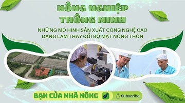 Nông Nghiệp Thông Minh: Những Mô Hình Sản Xuất Công Nghệ Cao Đang Làm Thay Đổi Bộ Mặt Nông Thôn