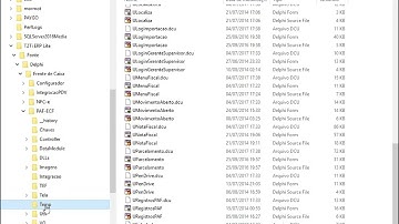 T2Ti ERP Lite - Delphi - PAF-ECF - Video Aula 02 - Pastas