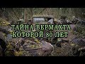 Все началось с 500 летнего старого дерева... Коп 2020