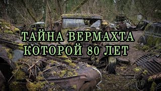 Все началось с 500 летнего старого дерева... Коп 2020