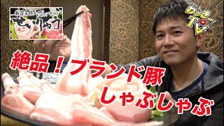 しゃぶしゃぶ専門店で舌鼓！豚のからあげやブランド豚焼売も絶品！【せいりゅう/田町】