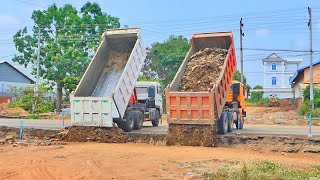 Amazingly powerful Dump Trucks 25-ton Pouring soil with Big Bulldozers to build a long road by Bulldozer Working Group 601 views 5 days ago 14 minutes, 49 seconds