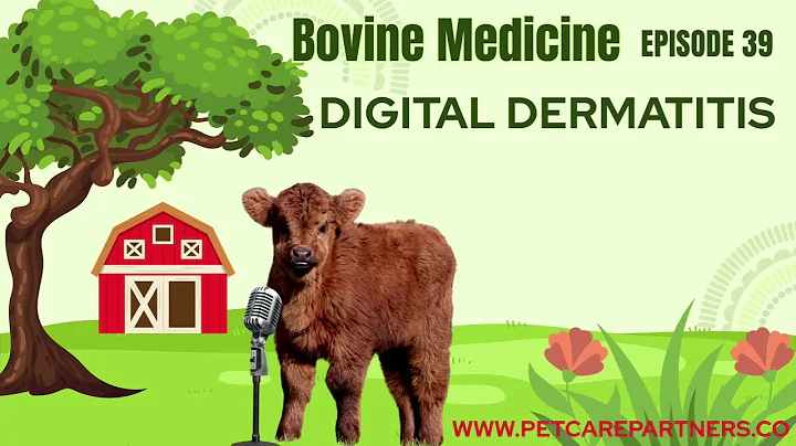 EP 39: Digital Dermatitis in Cattle | Causes, Signs & Treatment Explained | Pet Care Partners