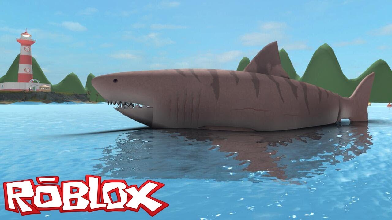 Escape From Megalodon Attack In Sharkbite Roblox Youtube - roblox shark bite megalodon with hobbykids invidious