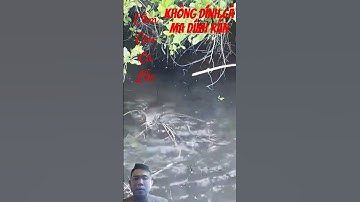 cắm câu...Cắm câu cá lốc không dính cá mà  dính rắn...vậy  tốn  thêm mới sả vậy..