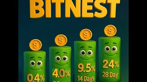 BITNEST EXPLAINED IN HINDI  #Bitnest #Bitnest #bitnestSaving #BitnestEarnings #BitnestLoop #Defi
