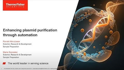 Enhancing Plasmid Purification through Automation