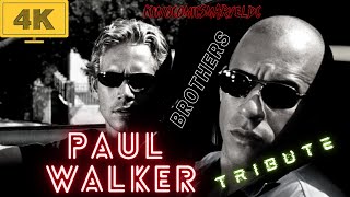 PAUL WALKER / TRIBUTE / BROTHERS