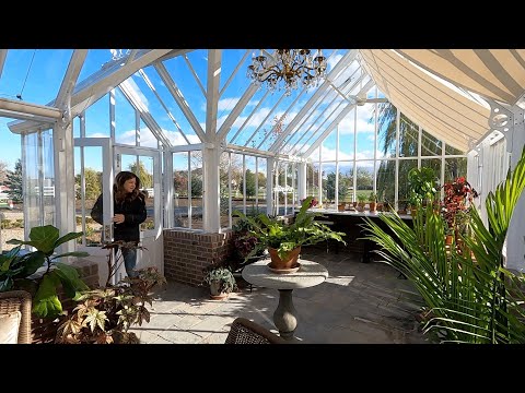 Video: Istuta Rock Garden Irises