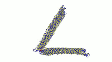 Opening and closing  of a DNA origami hinge (1)