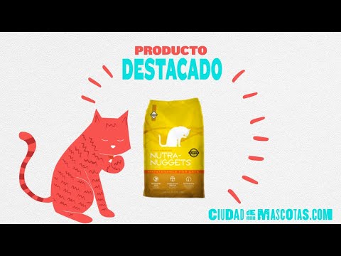 Video: Suplementos Dietéticos Para Gatos Mayores »Wiki Ùtil Nutrición Nuggets Gato