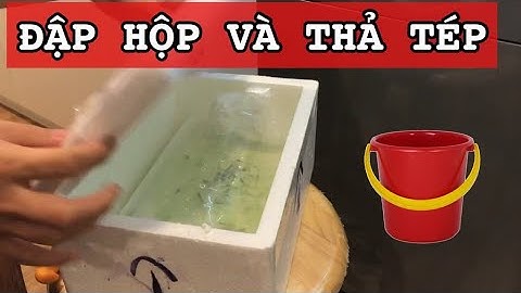 ĐẬP HỘP VÀ THẢ TÉP ĐÚNG CÁCH ?