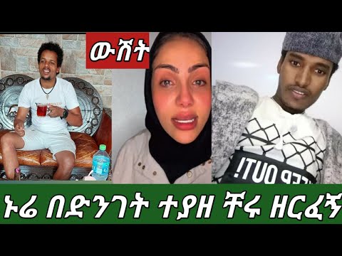 ቪዲዮ: የነጭ ዳንቴል የአበባ መረጃ - ነጭ ዳንቴል የአበባ እፅዋትን እንዴት እንደሚያሳድጉ ይወቁ