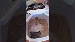 Tanquinho Colormaq 20kg com o agitador e filtro do LCM13. Lavagem de tapetes. 🧼 #laundry