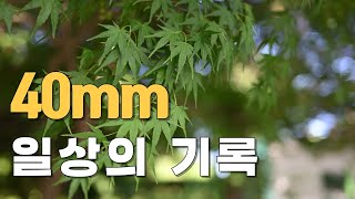 일상 기록용으로 추천 ㅣ니콘 Z8, z 40mm 렌즈 사용기 ㅣ 8K 영상