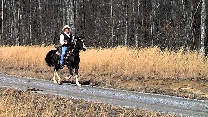 Marvin riding Camachie