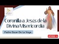 CORONILLA A JESÚS DE LA DIVINA MISERICORDIA - 26 DE JULIO 2021