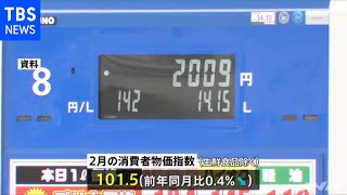消費者物価０．４％下落 ７か月連続マイナス